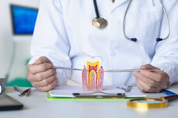 Best Emergency Dentist for Knocked-Out Tooth in Dobson, NC